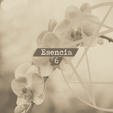 Esencia 6