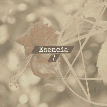 Esencia 7