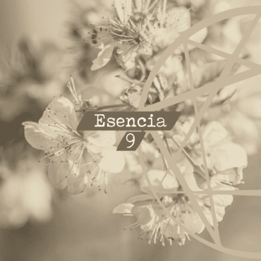 Esencia 9